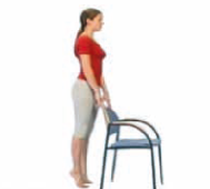 Standing heel raises