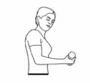 Shoulder rotation with weight